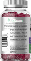 Horbaach Elderberry Gummies bottle showing berry flavor label