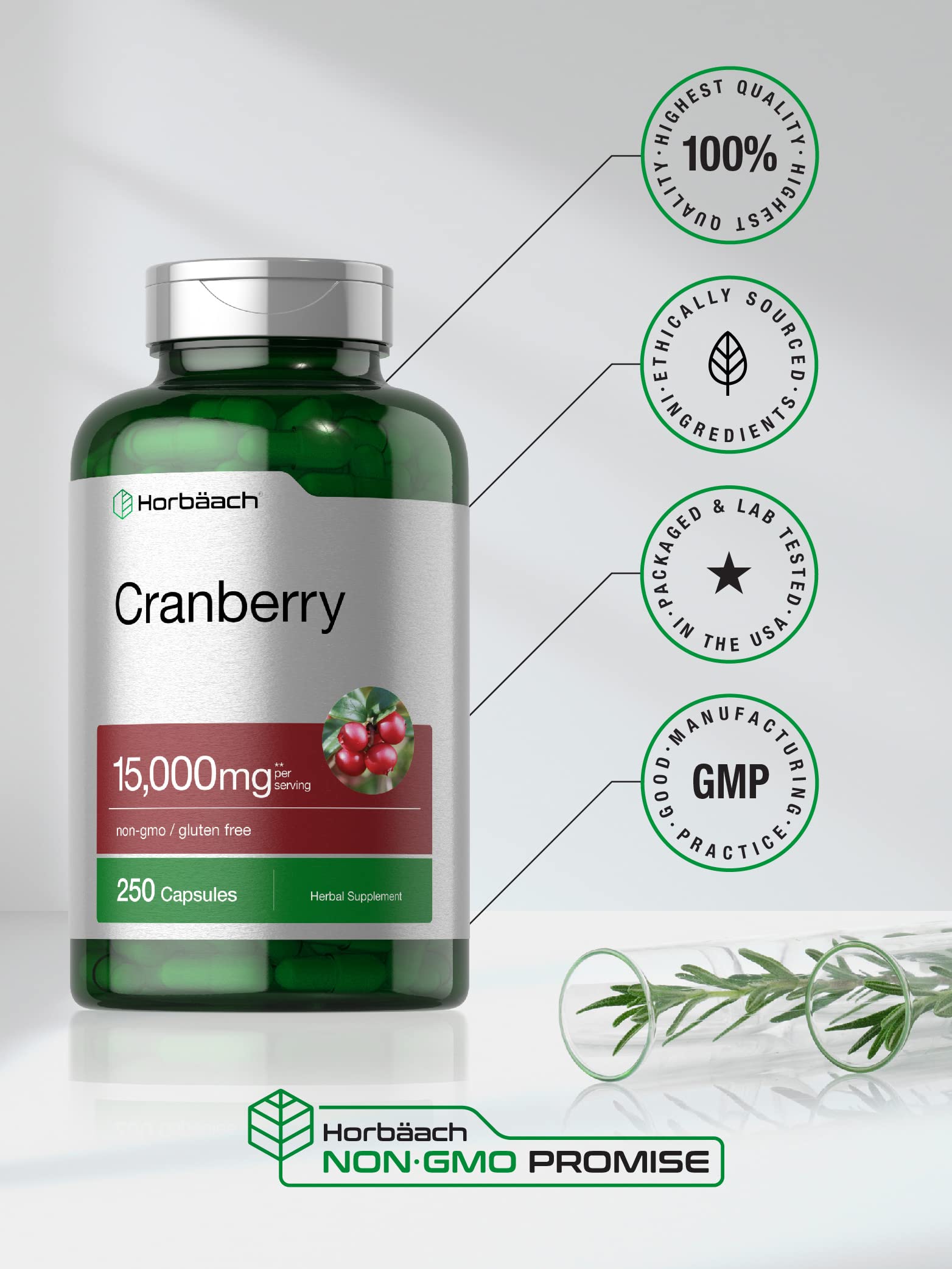 Front packaging of Horbaach Cranberry Pills bottle