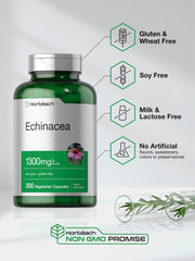 Vegan, non-GMO, gluten-free Horbäach echinacea capsules