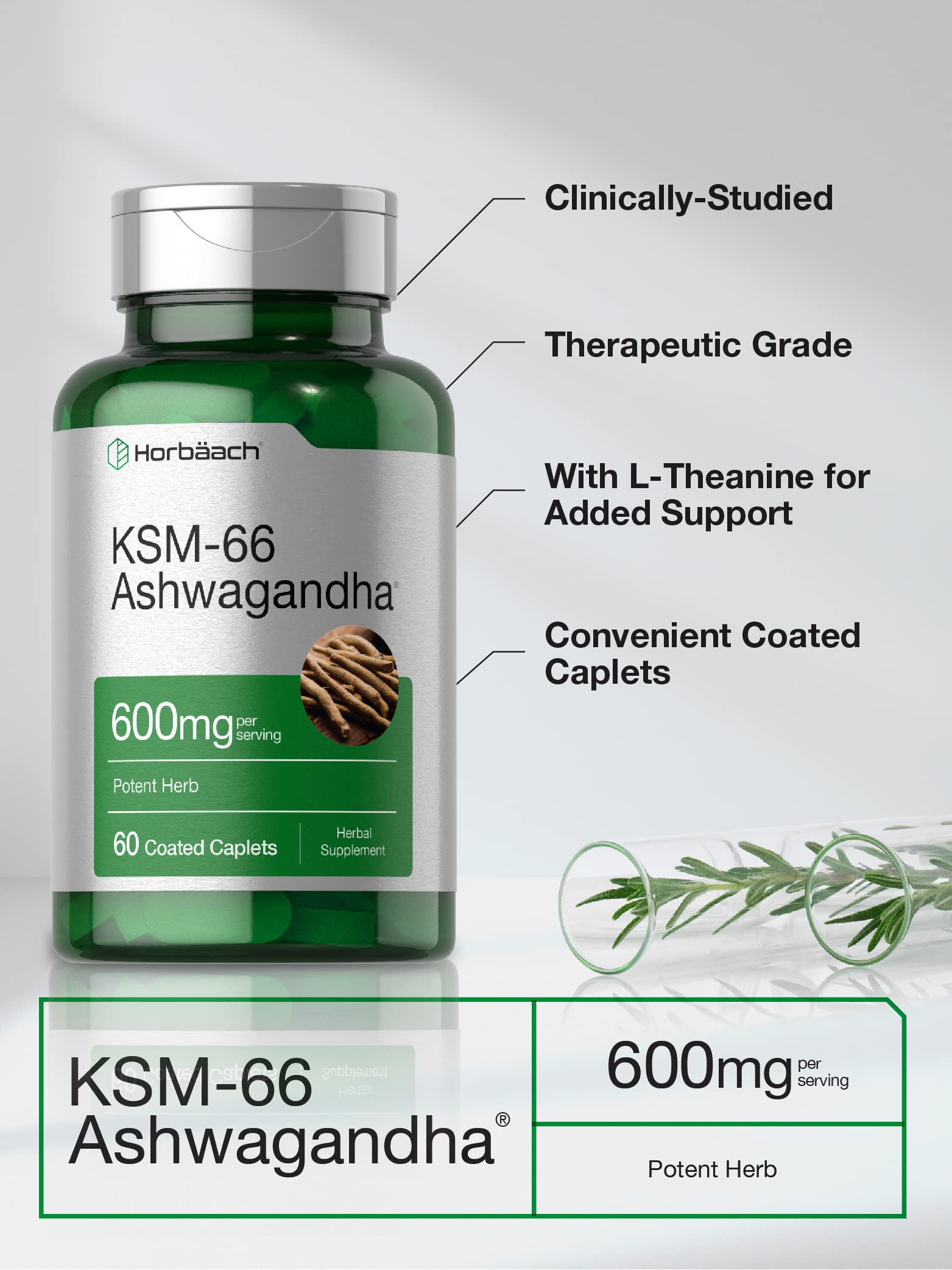 KSM-66 Ashwagandha with L-Theanine graphic