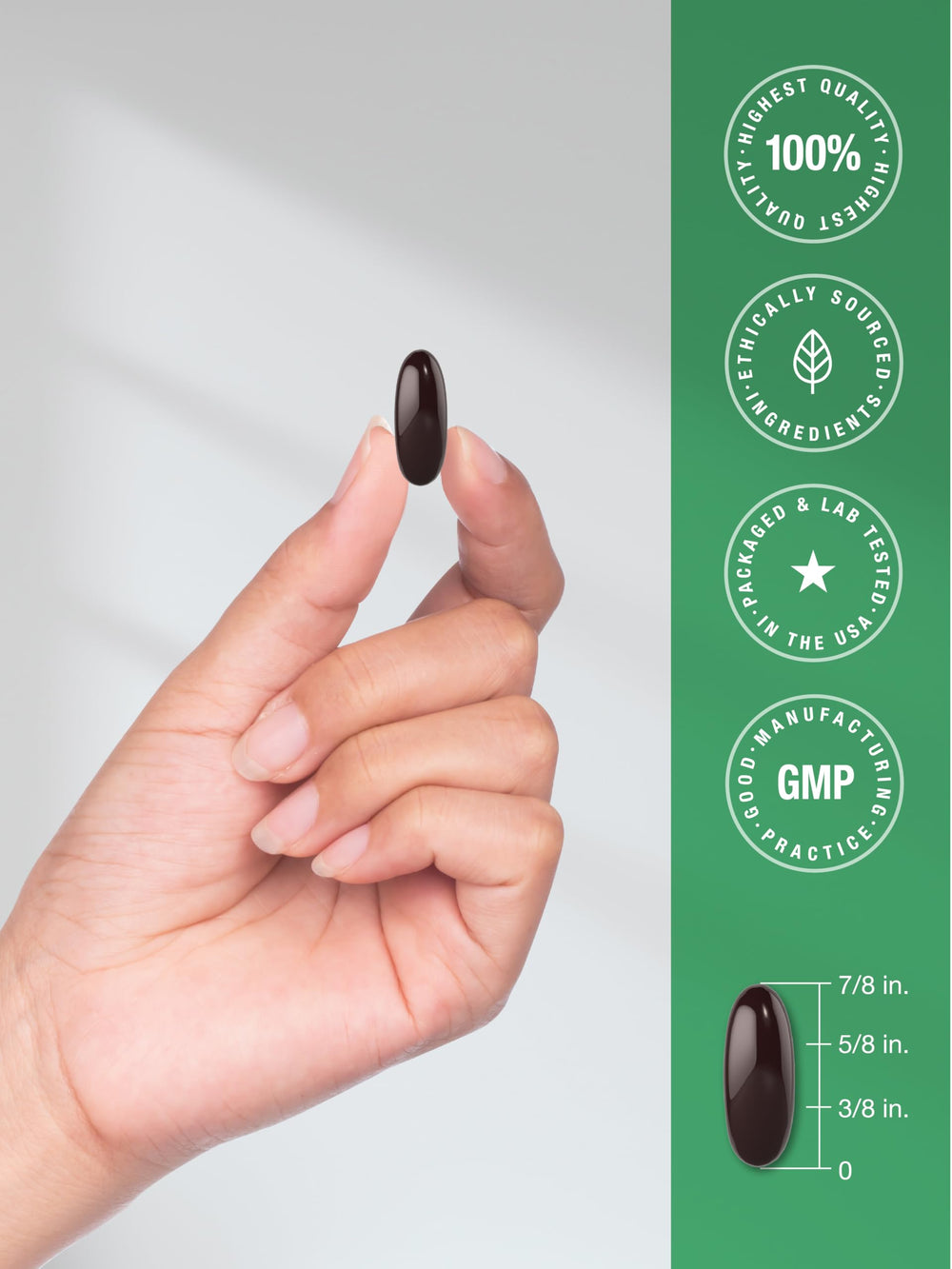 Horbäach Lions Mane supplement bottle with 80 softgels