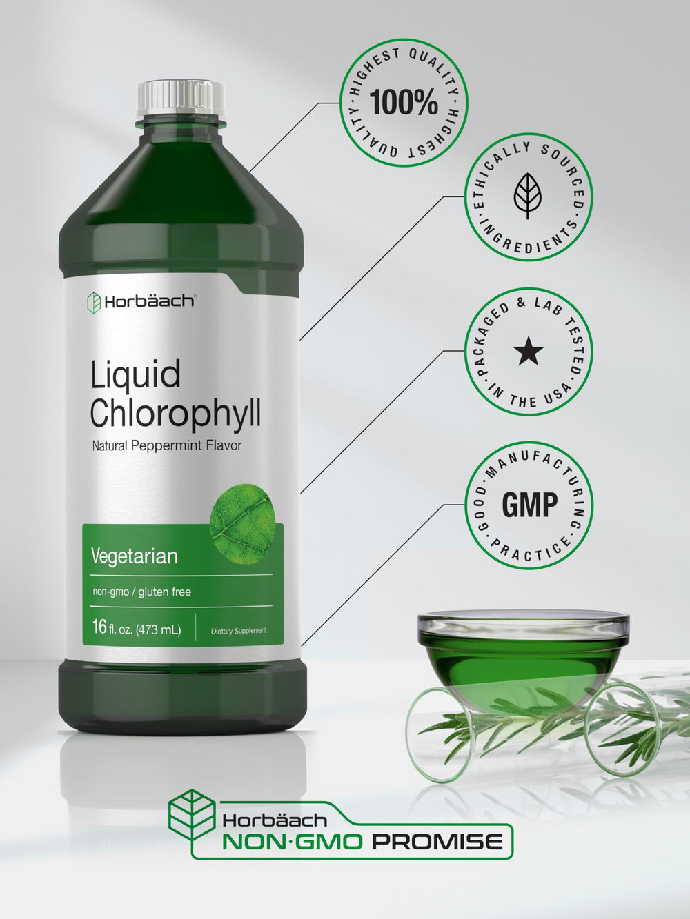 Natural peppermint flavor bottle of Horbäach Chlorophyll Liquid Drops
