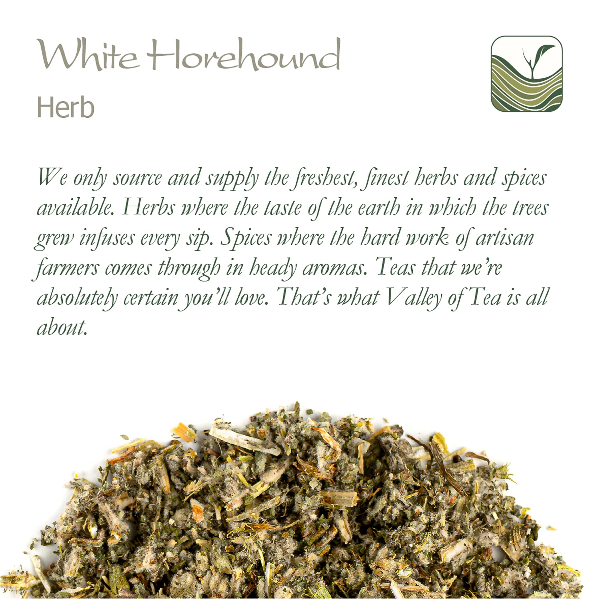 Horehound herbal tea served in a cup