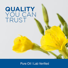 Hormone balance support for menstruation and menopause