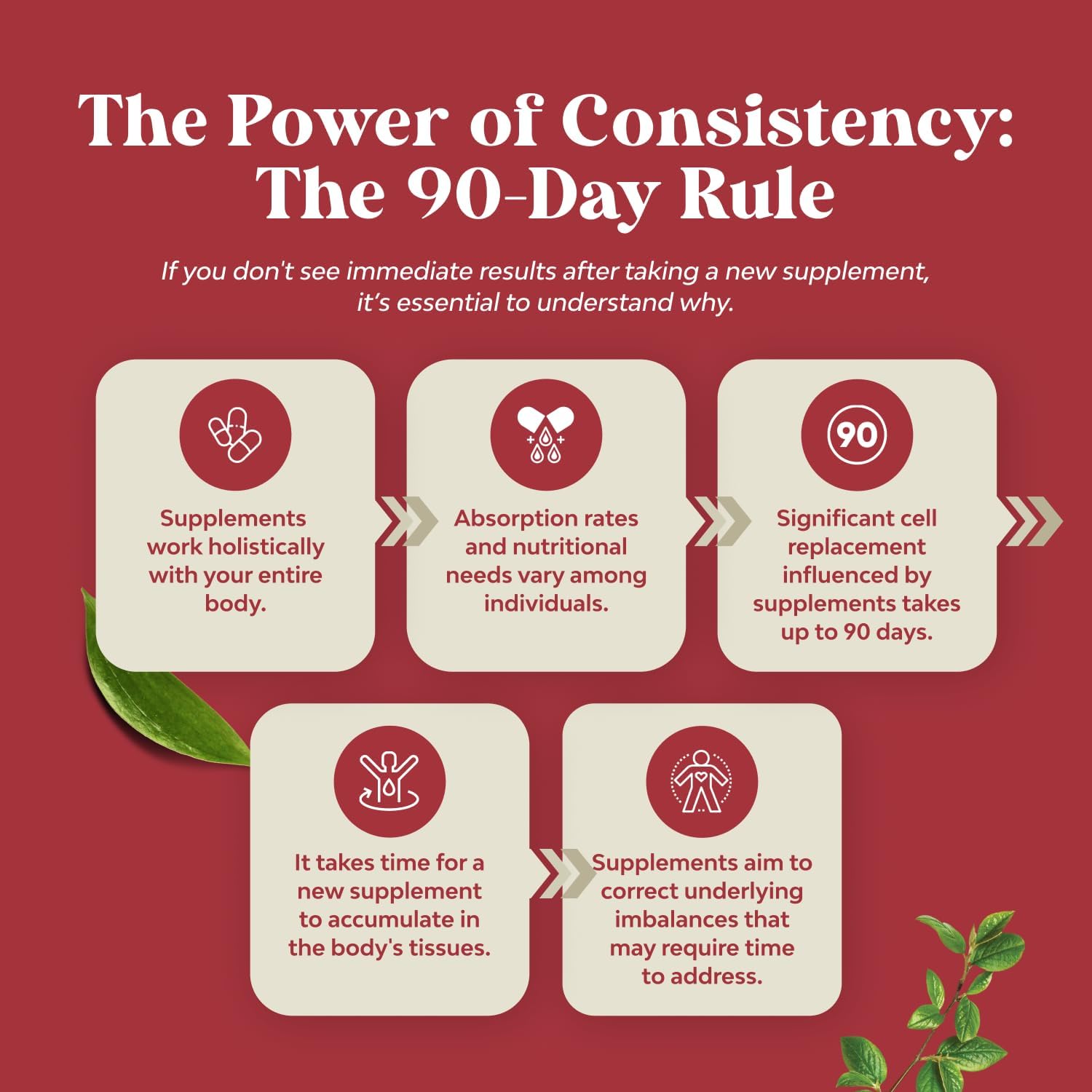 Infographic showing ingredients of Horny Goat Weed for Men