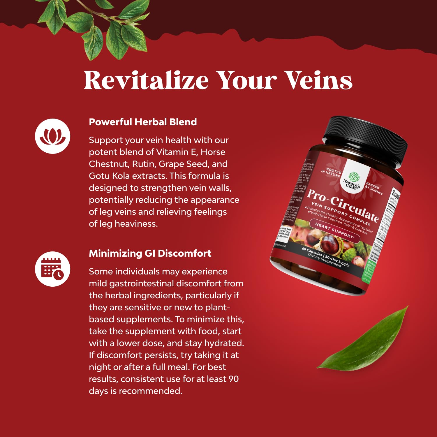 Horse chestnut capsules on white background