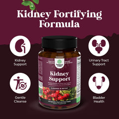 Herbs including horsetail, java tea and chanca piedra for urinary health