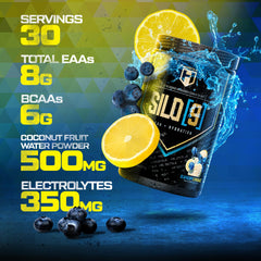 HOSSTILE SILO[9] bottle with Blueberry Lemonade flavor label