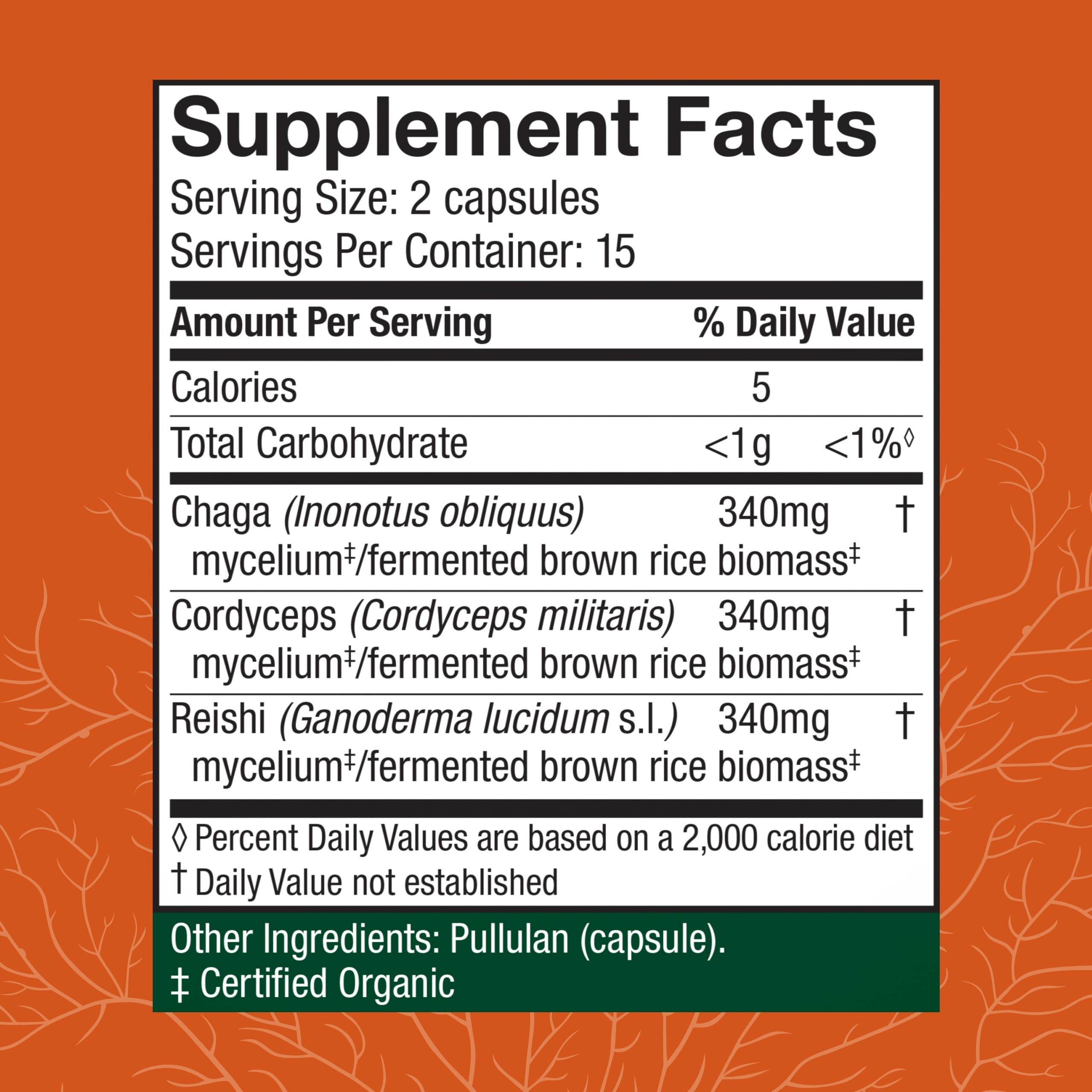 Cordyceps, Reishi, and Chaga mushrooms close-up