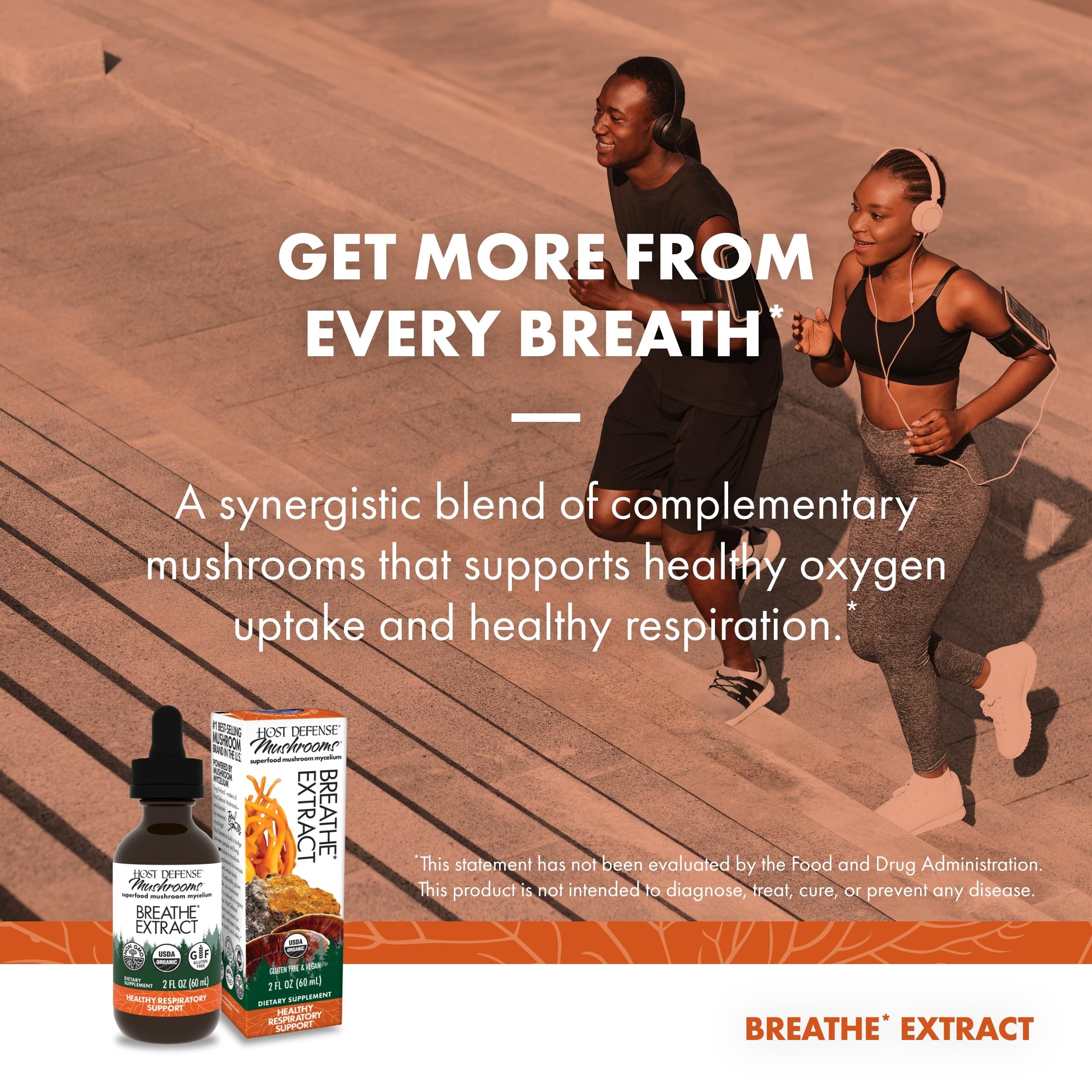 Chaga mushroom used in Host Defense Breathe Extract