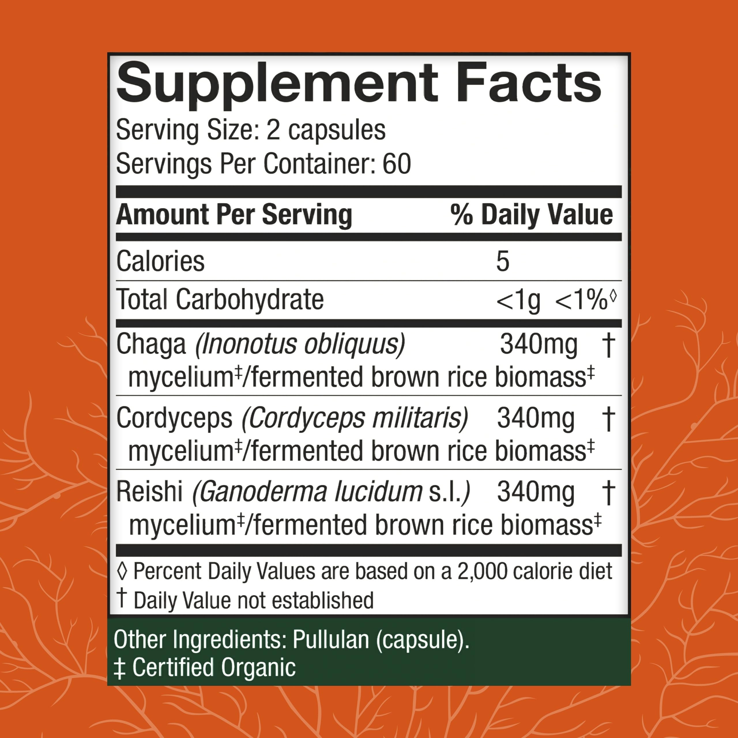 Chaga, Reishi, and Cordyceps mushrooms used in the supplement