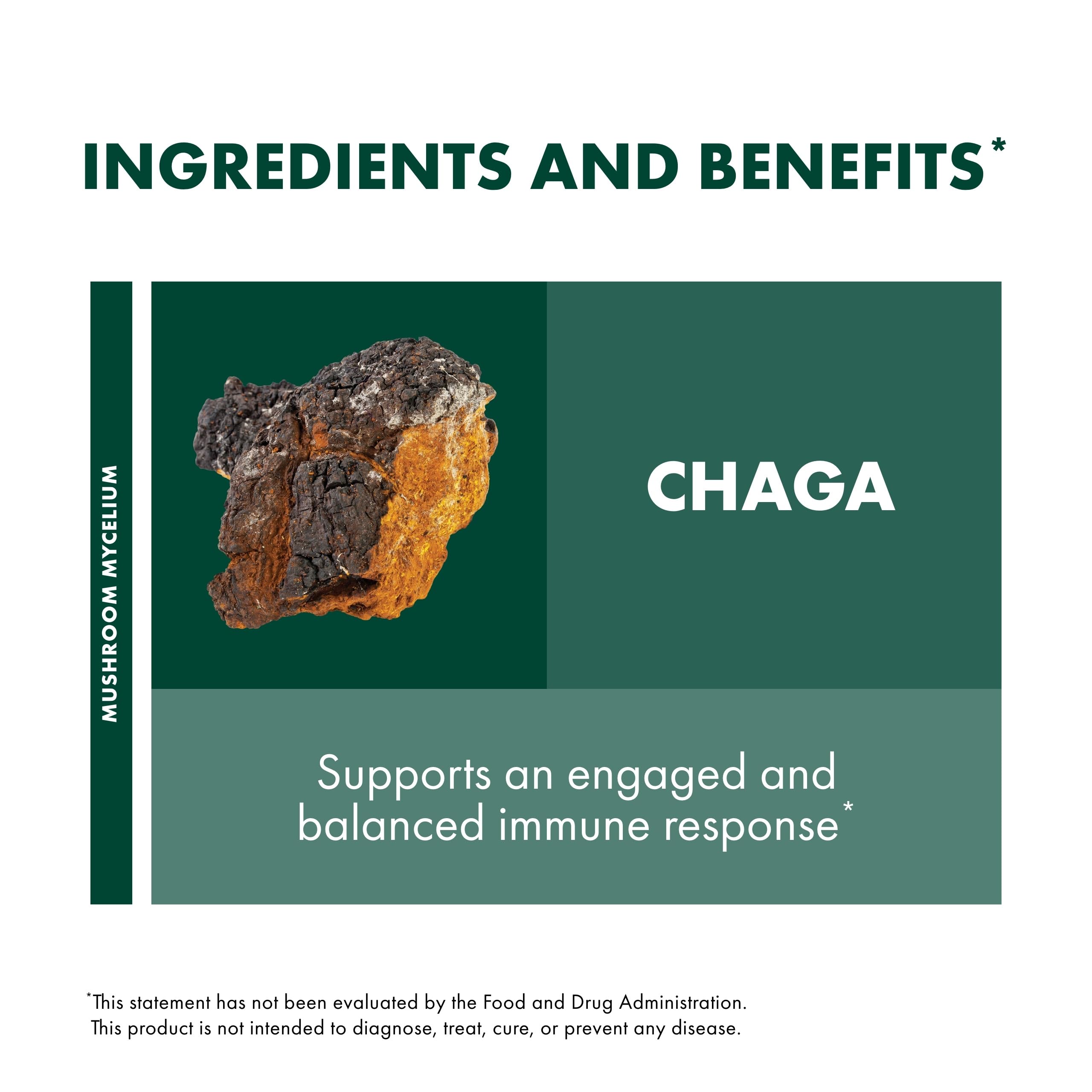 Close-up of Chaga mushroom capsules