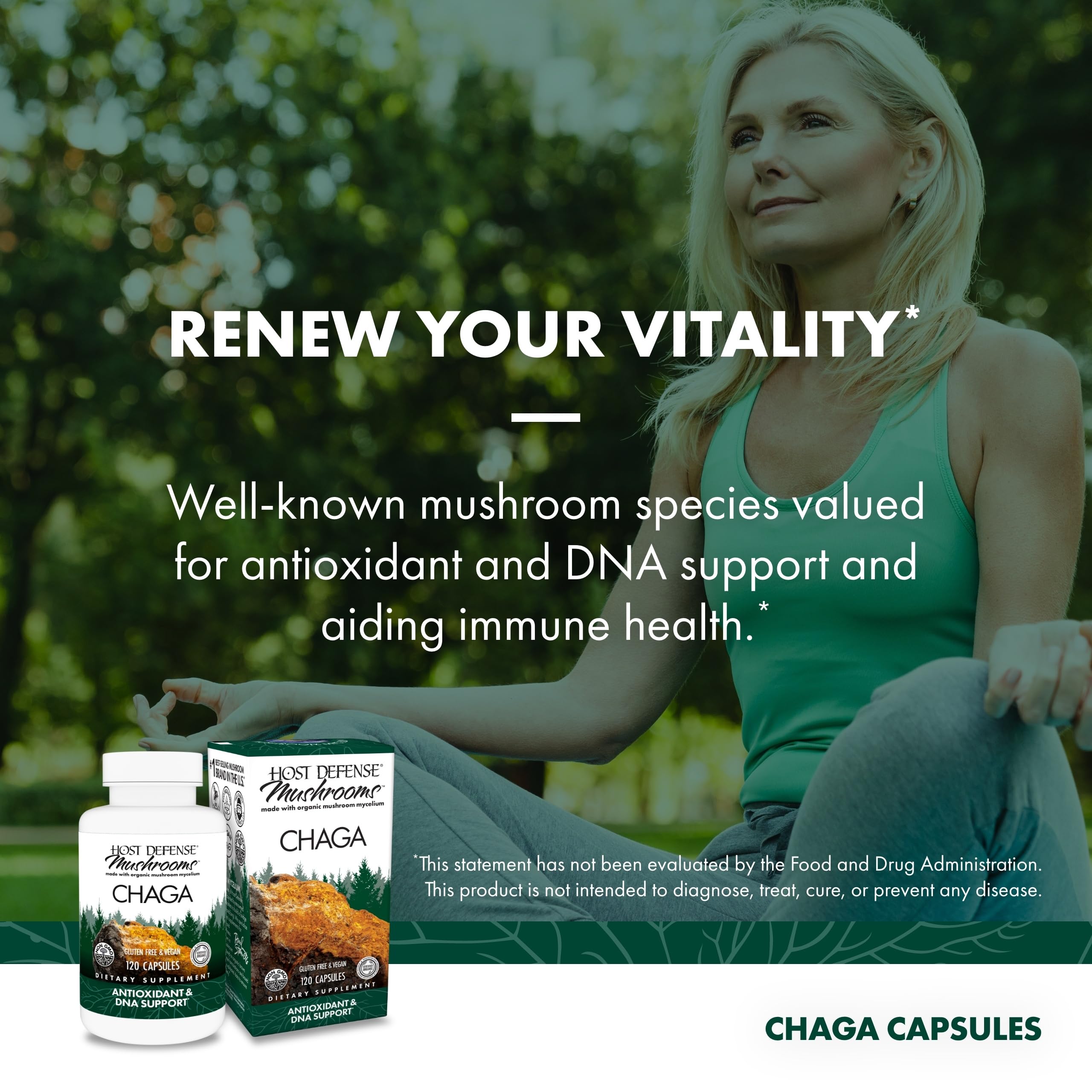 Close-up of ingredients on Host Defense Chaga Capsules label