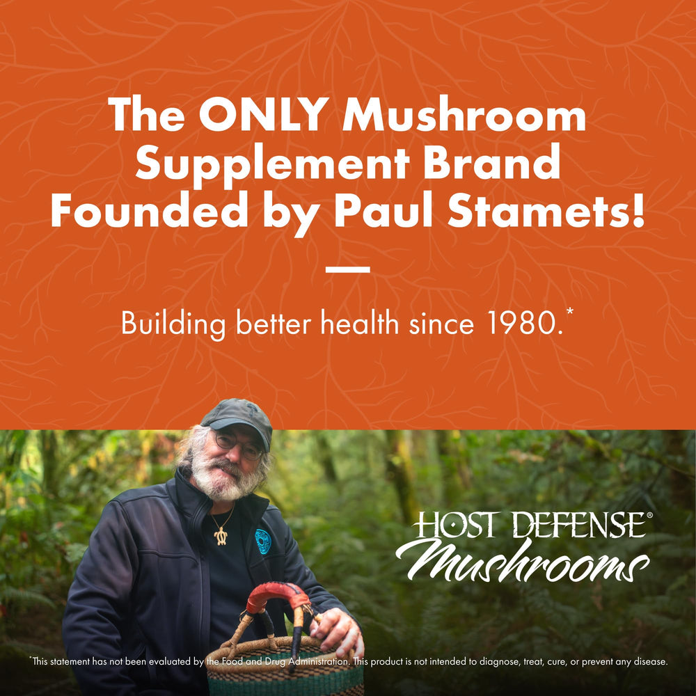 Cordyceps mushroom used in the extract