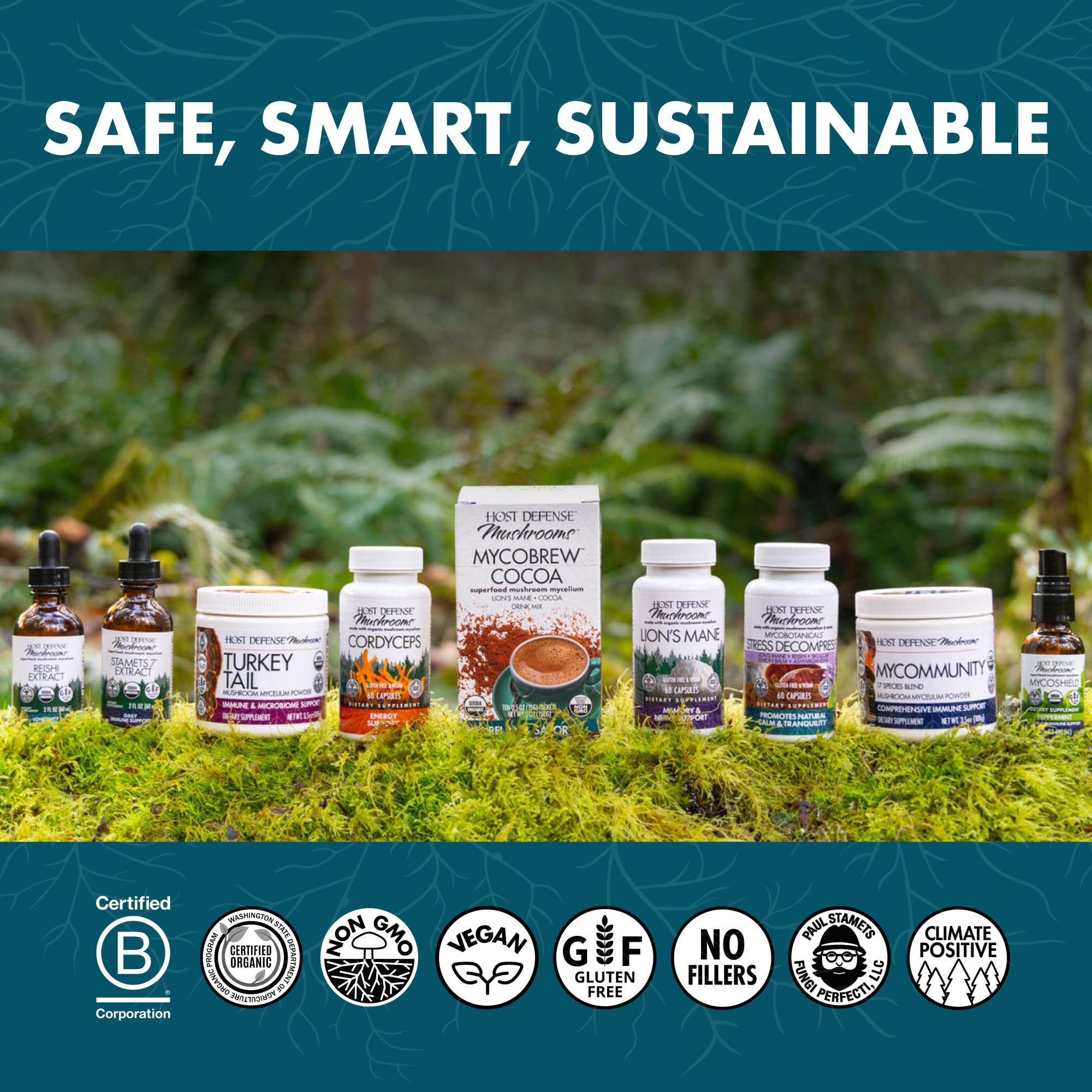 Graphic showing energy and immune support benefits