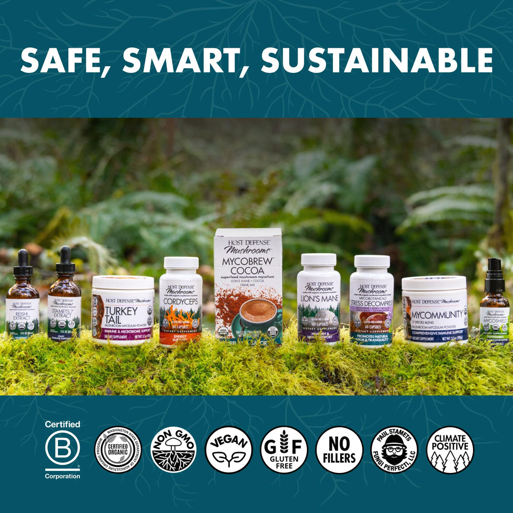 Graphic showing energy and immune support benefits