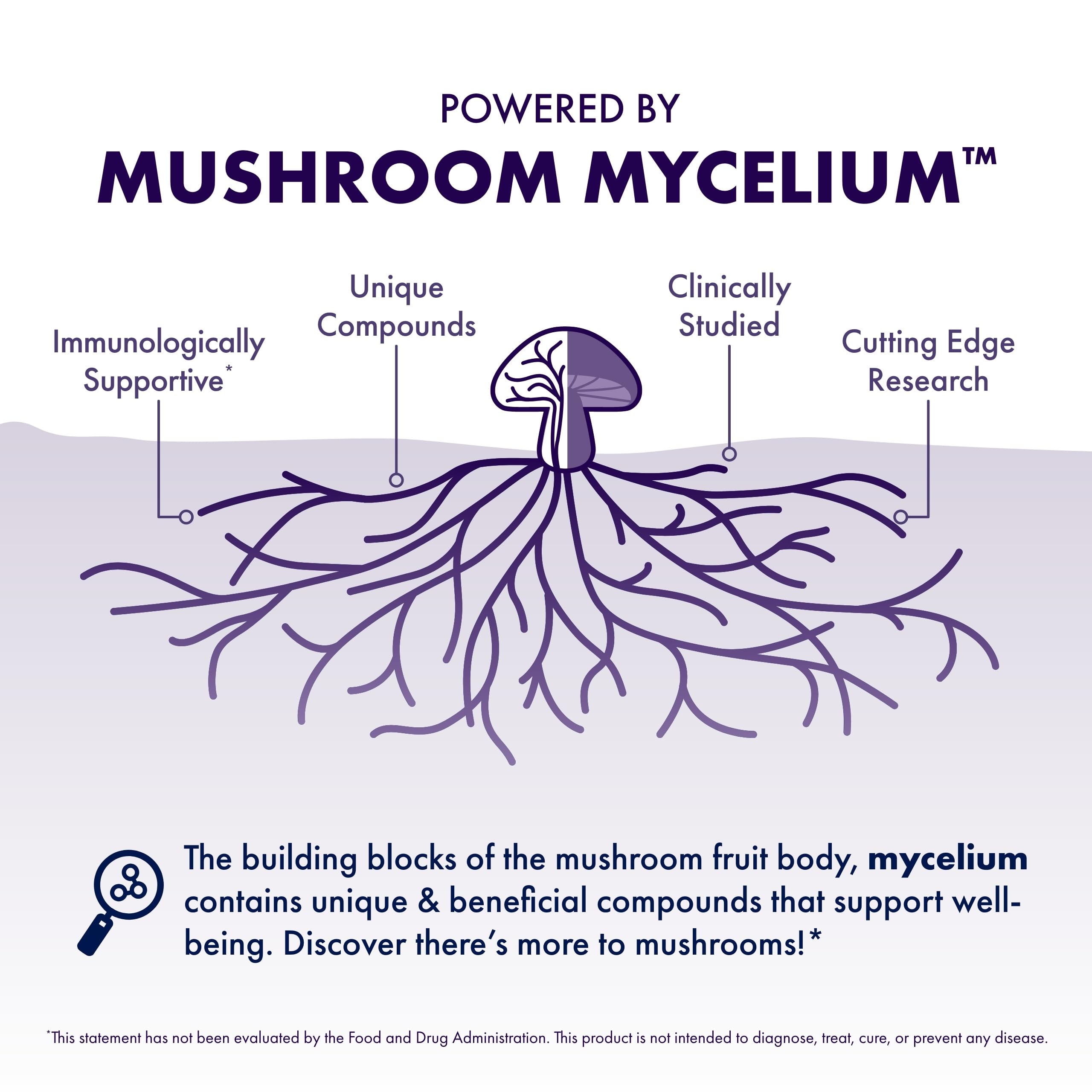 Host Defense mushroom-mycelium-growth close-up on organic substrate.