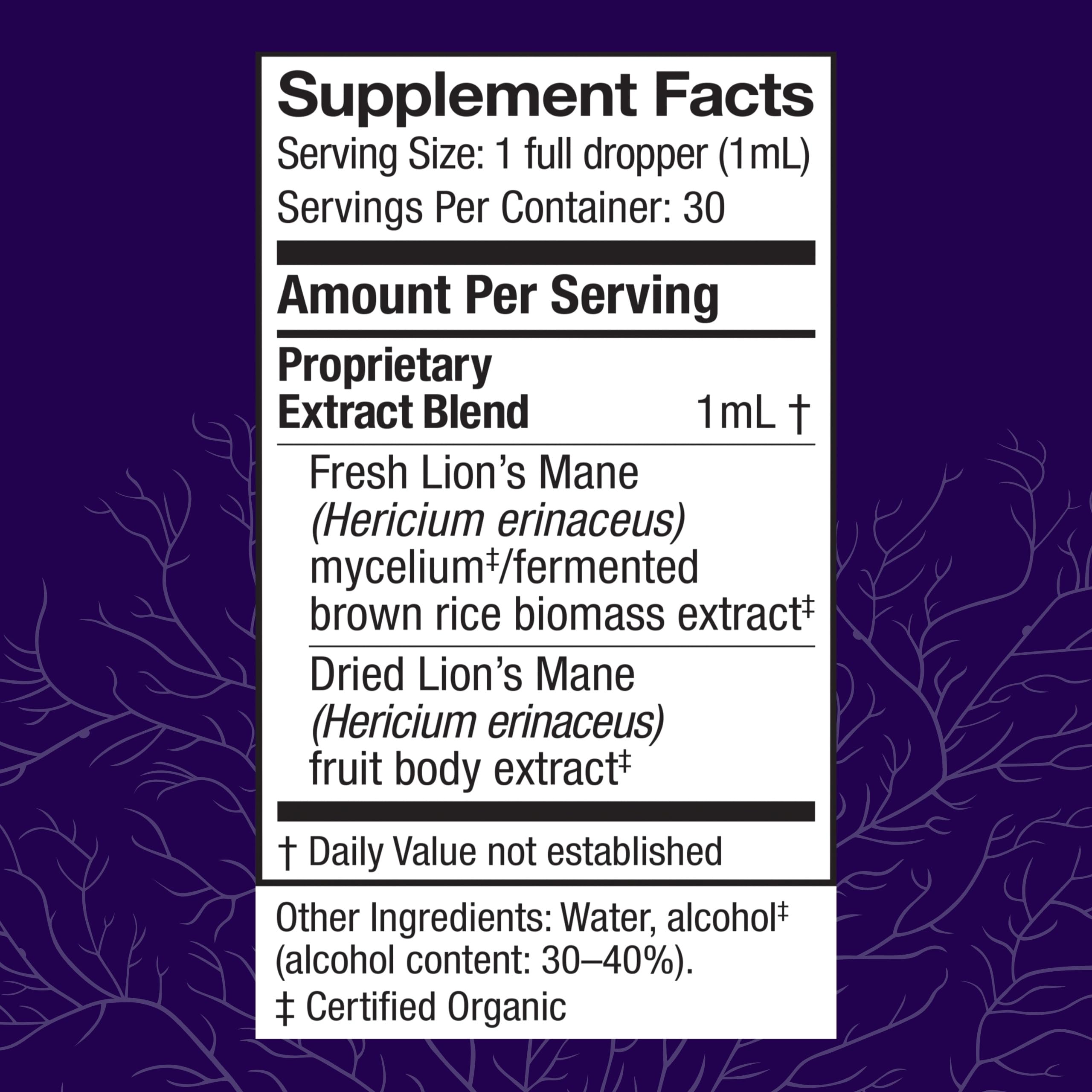Lions Mane brain health benefits close-up