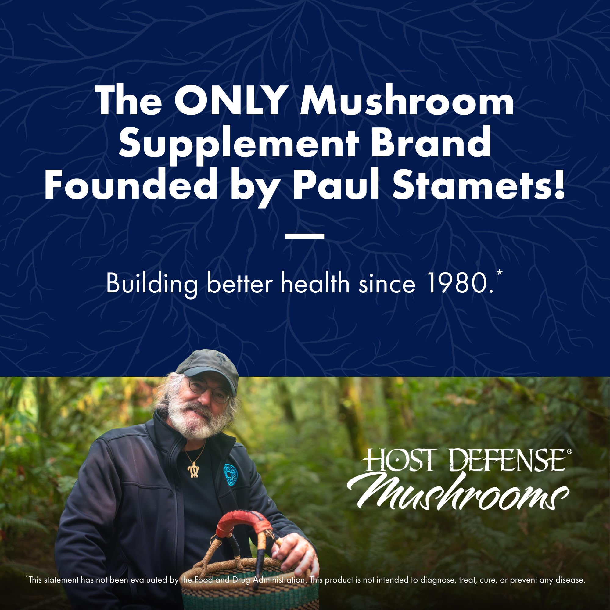 Immune and nervous system support with Lion's Mane