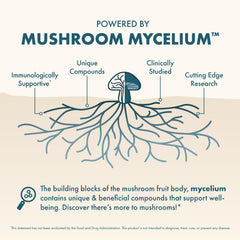Blend of Reishi, Lion’s Mane, and Holy Basil mushrooms