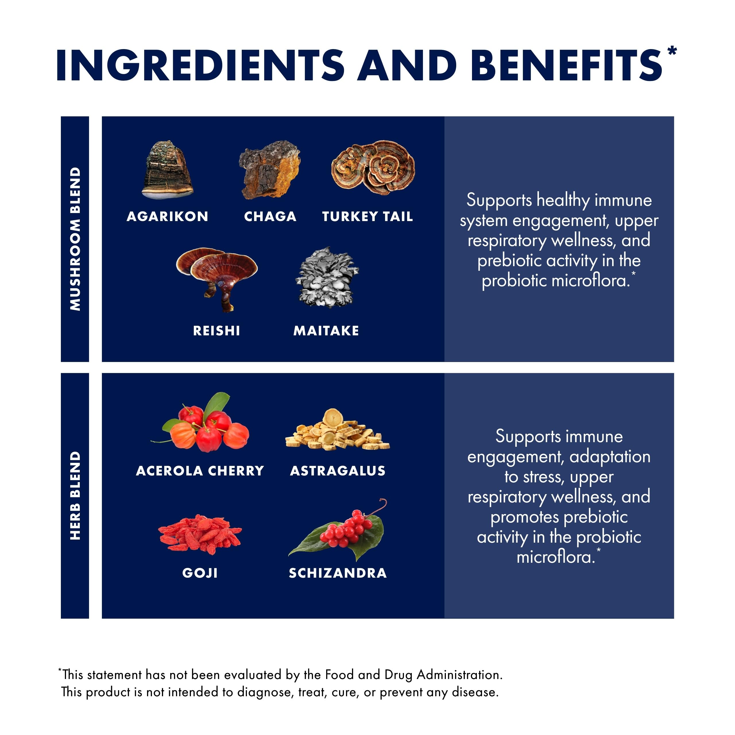 Mushroom imagery highlighting the blend used in the powder
