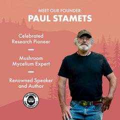 Ingredients concept: Chaga, Enoki, Reishi, Biotin, Hyaluronic Acid
