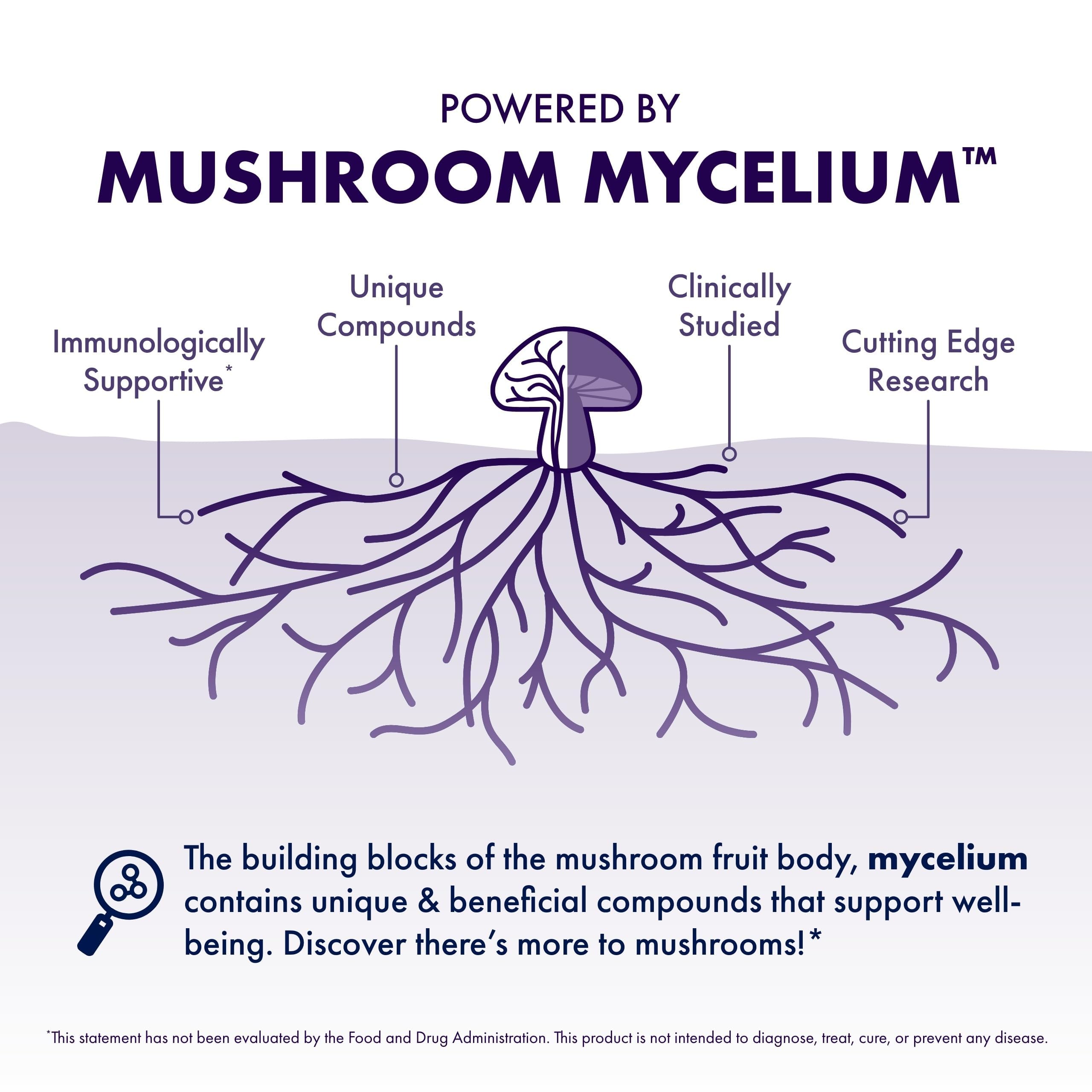 Cordyceps and Reishi mushrooms for cognitive support