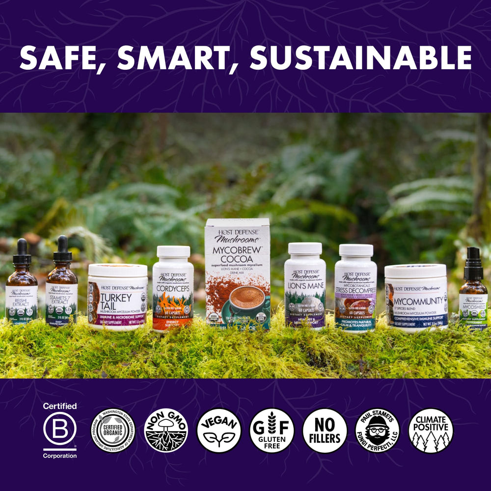 Graphic highlighting immune system and gut health support from the herbal mushroom blend.