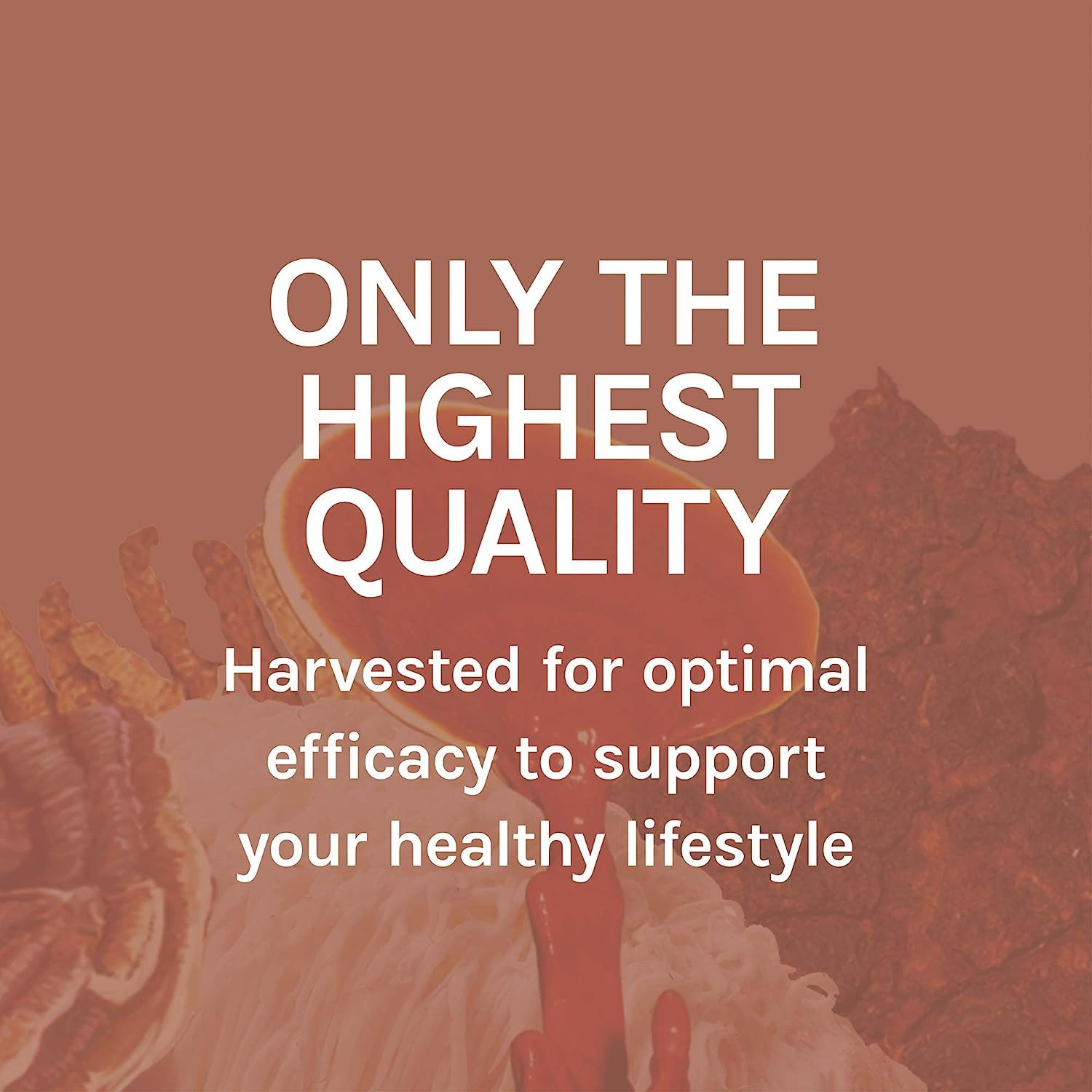 Organic, Non-GMO and Gluten-Free icons on label