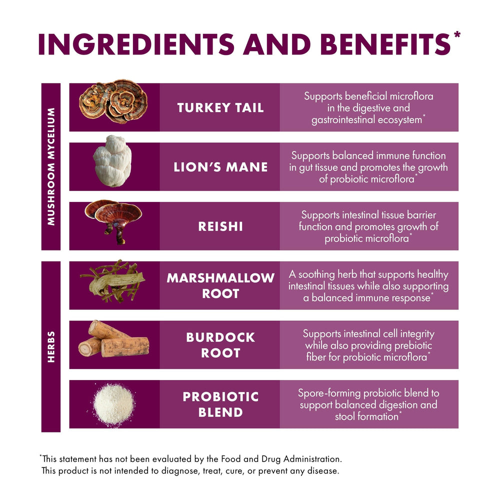 Reishi mushroom highlighting immune support