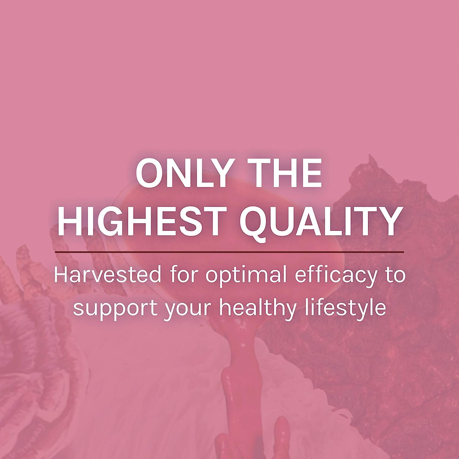 Grown in the USA on organic brown rice substrate