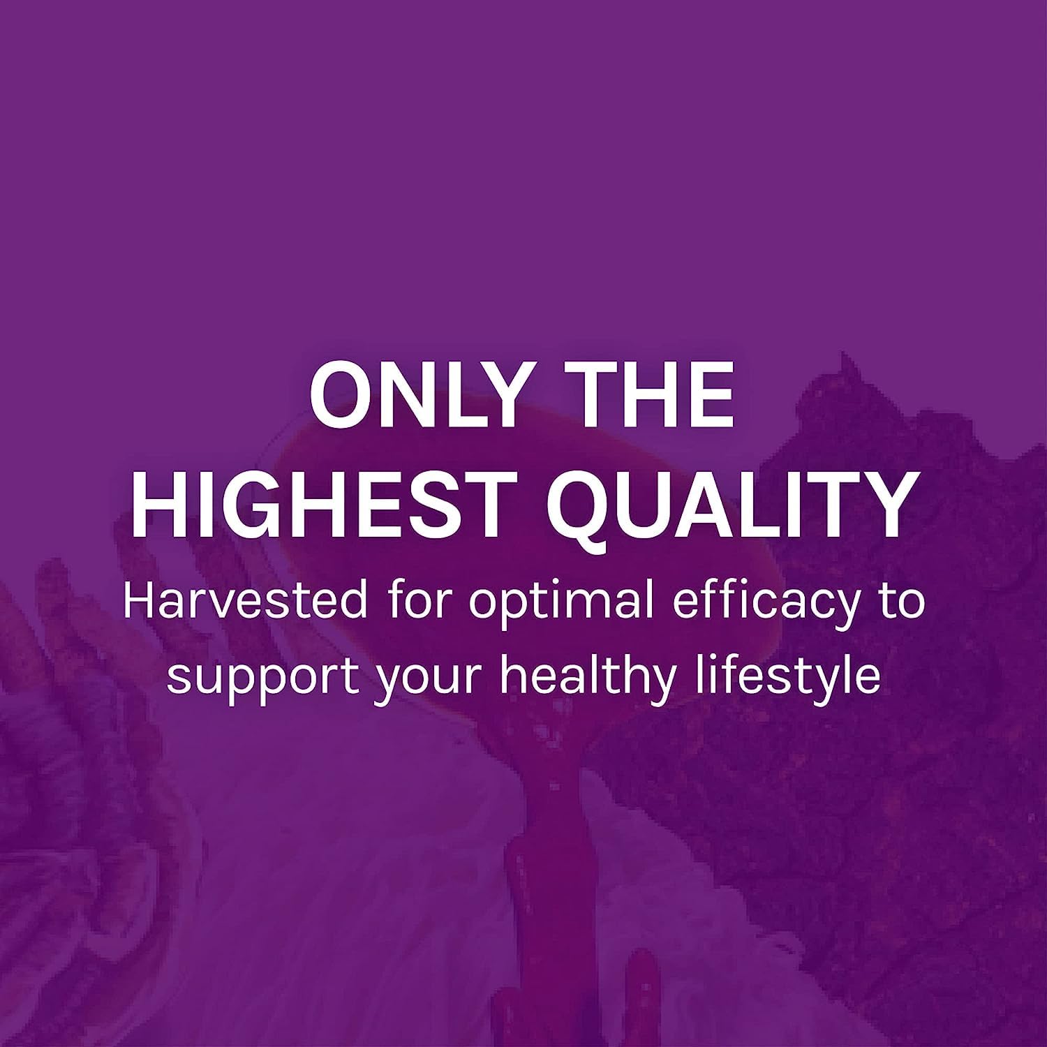 USA-grown organic mushroom mycelium badge