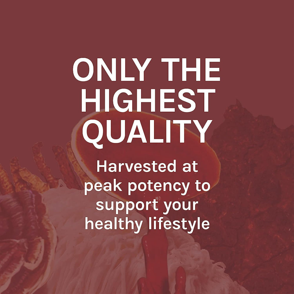 Graphic illustrating energy and vitality support from Reishi