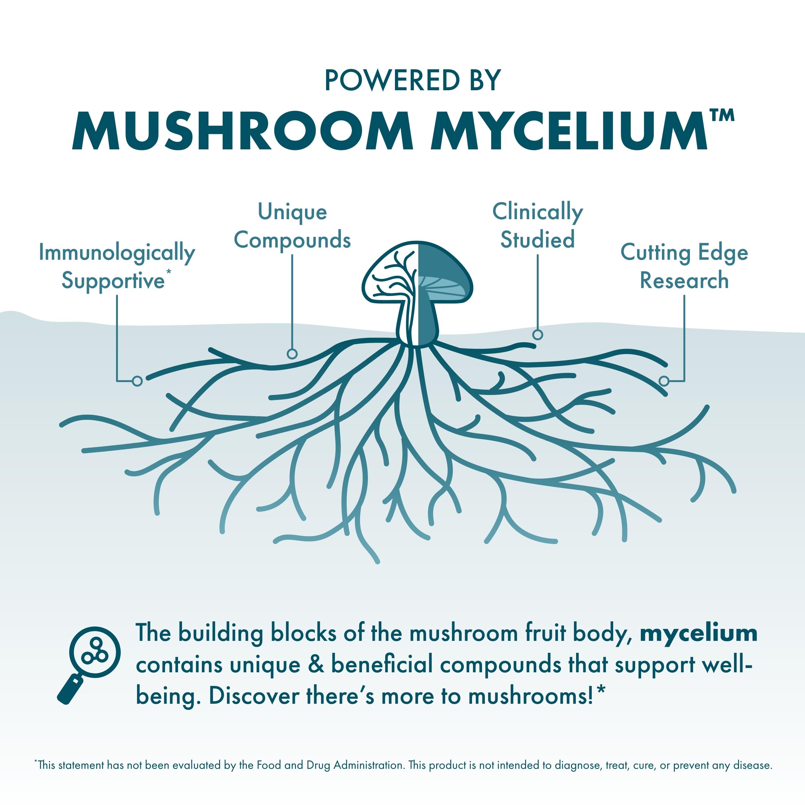 Illustration of mushroom mycelium and Reishi