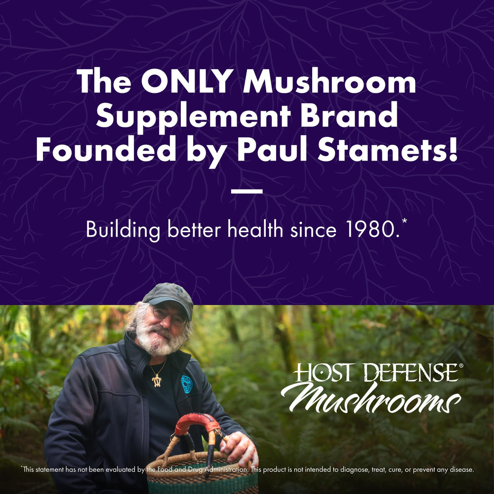 Illustration of the seven mushroom ingredients