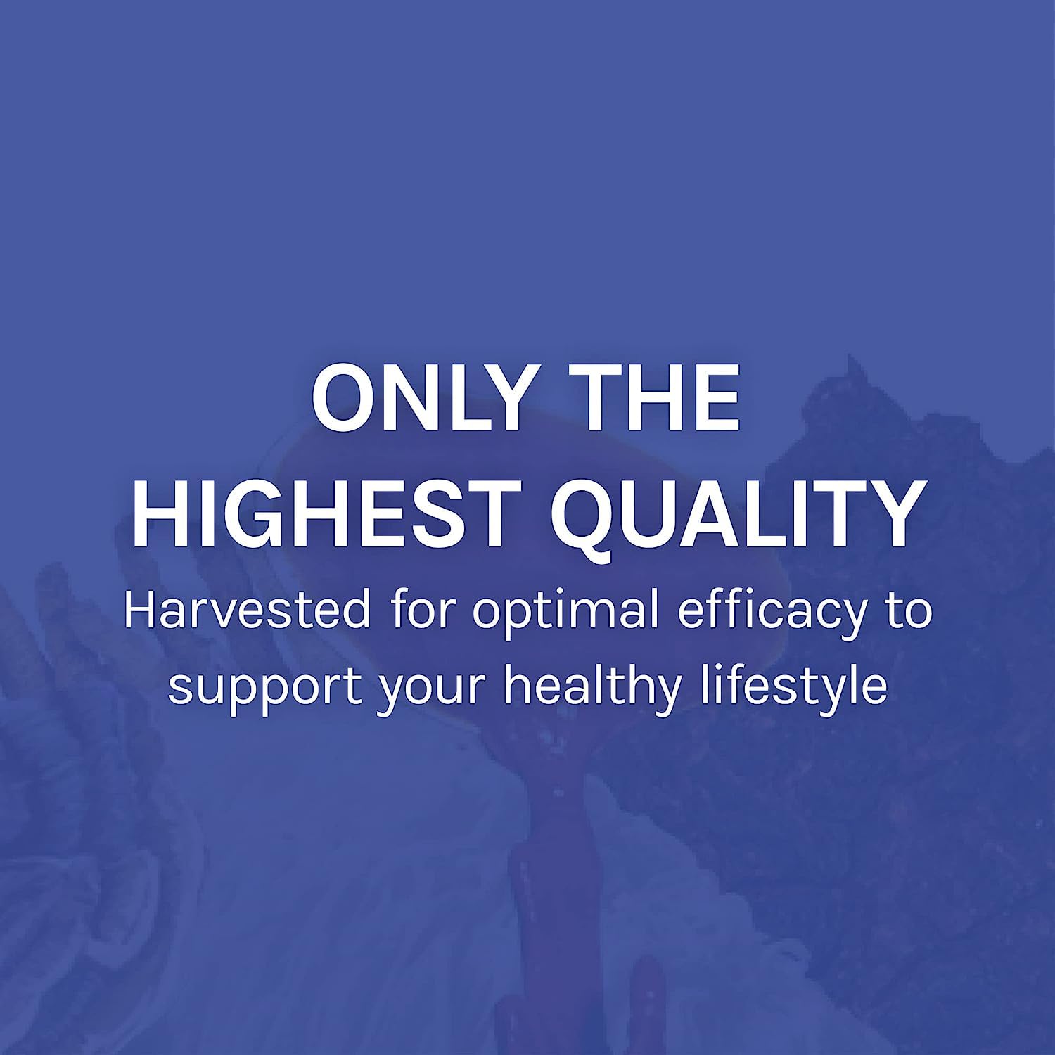 Lifestyle image featuring immune-support supplement on a shelf
