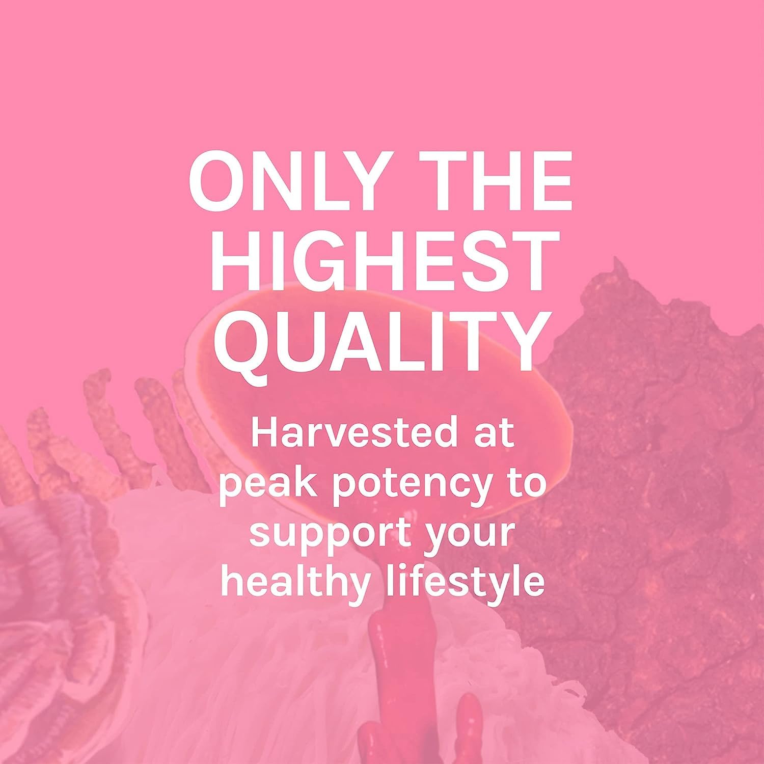 Gluten-free product label with nutrition information
