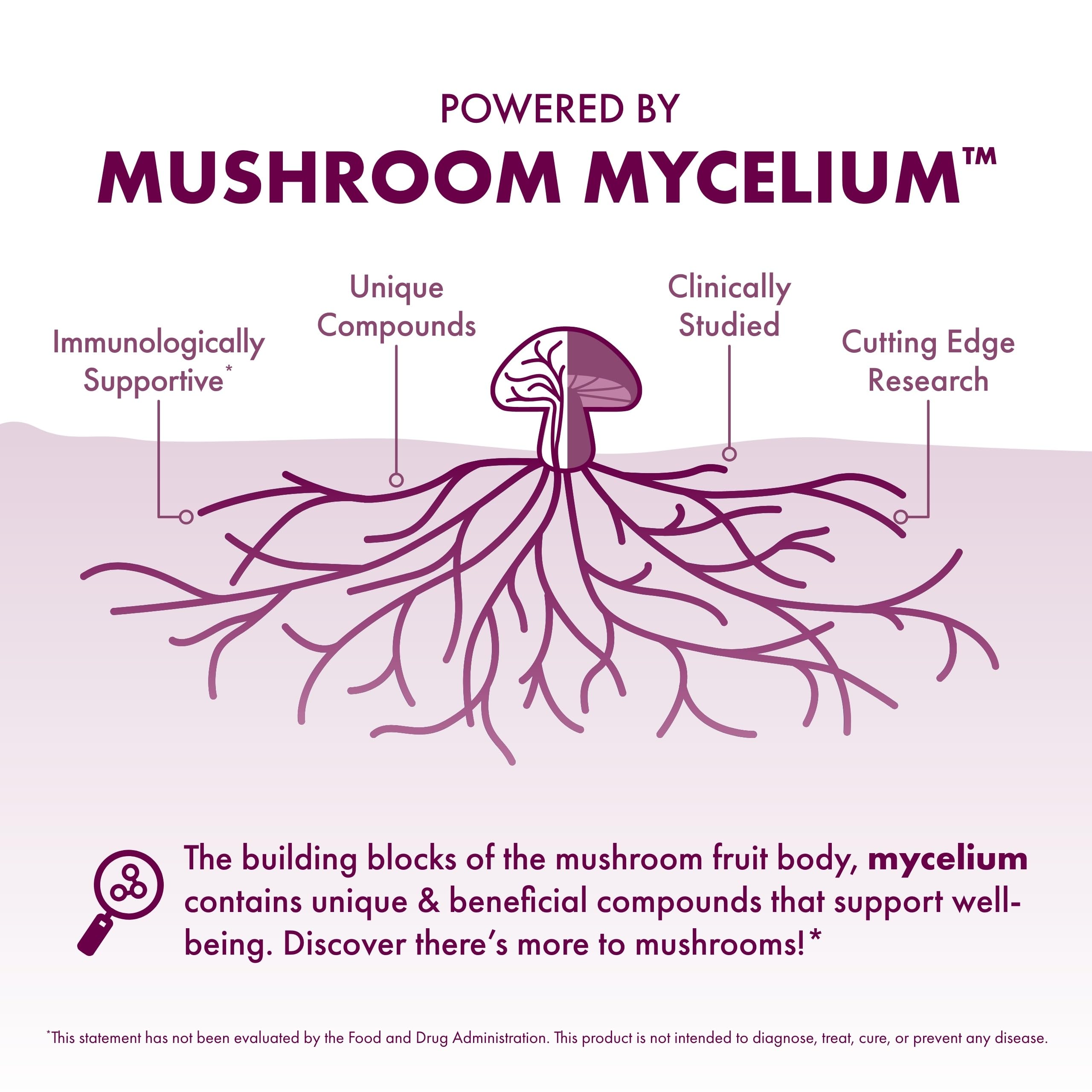 Organic mushroom mycelium on brown rice substrate used for extraction