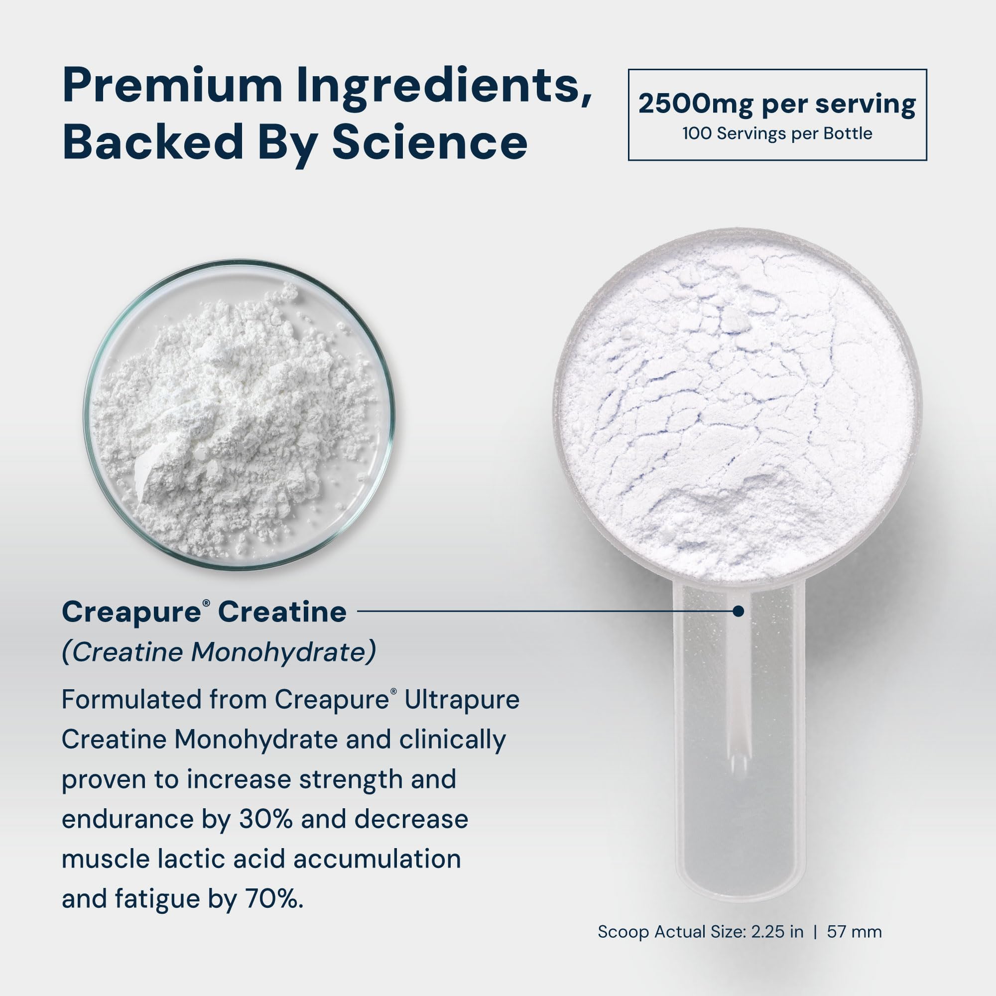 HPN C2 Creatine micronized powder enables rapid absorption during training.