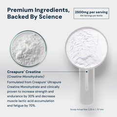 Micronized creatine monohydrate powder for fast dissolve