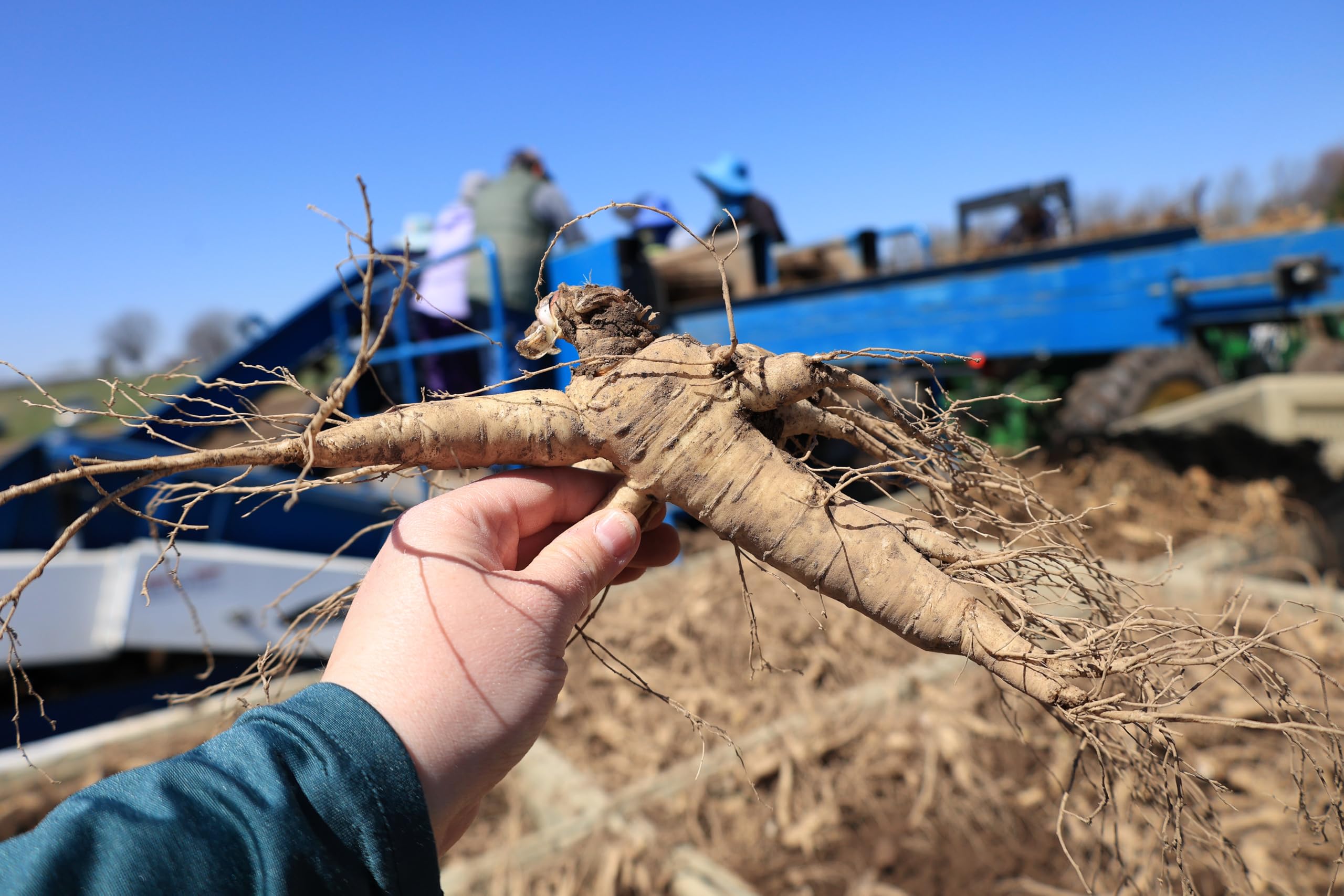 Energy and focus benefits depicted on packaging