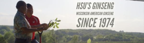 Product shot of Hsus American Ginseng Tea 20-count box