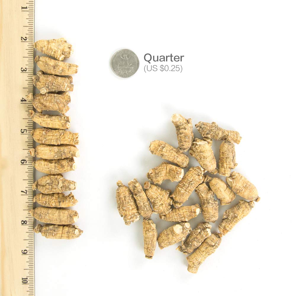 Wisconsin American ginseng roots ready for sale