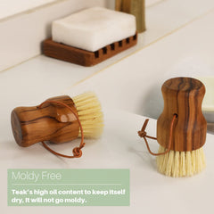 Natural teak wood grain on HTB dish scrub brush