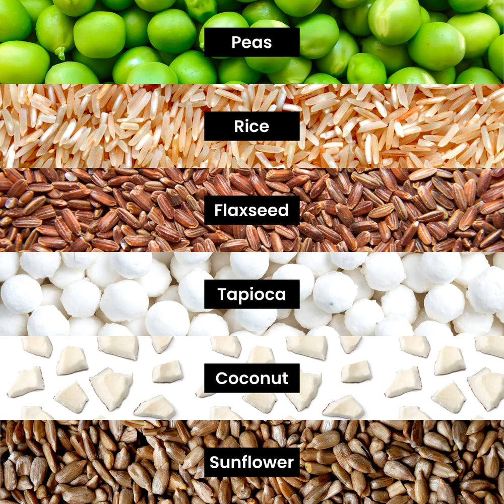 Preparing Huel Vanilla shake