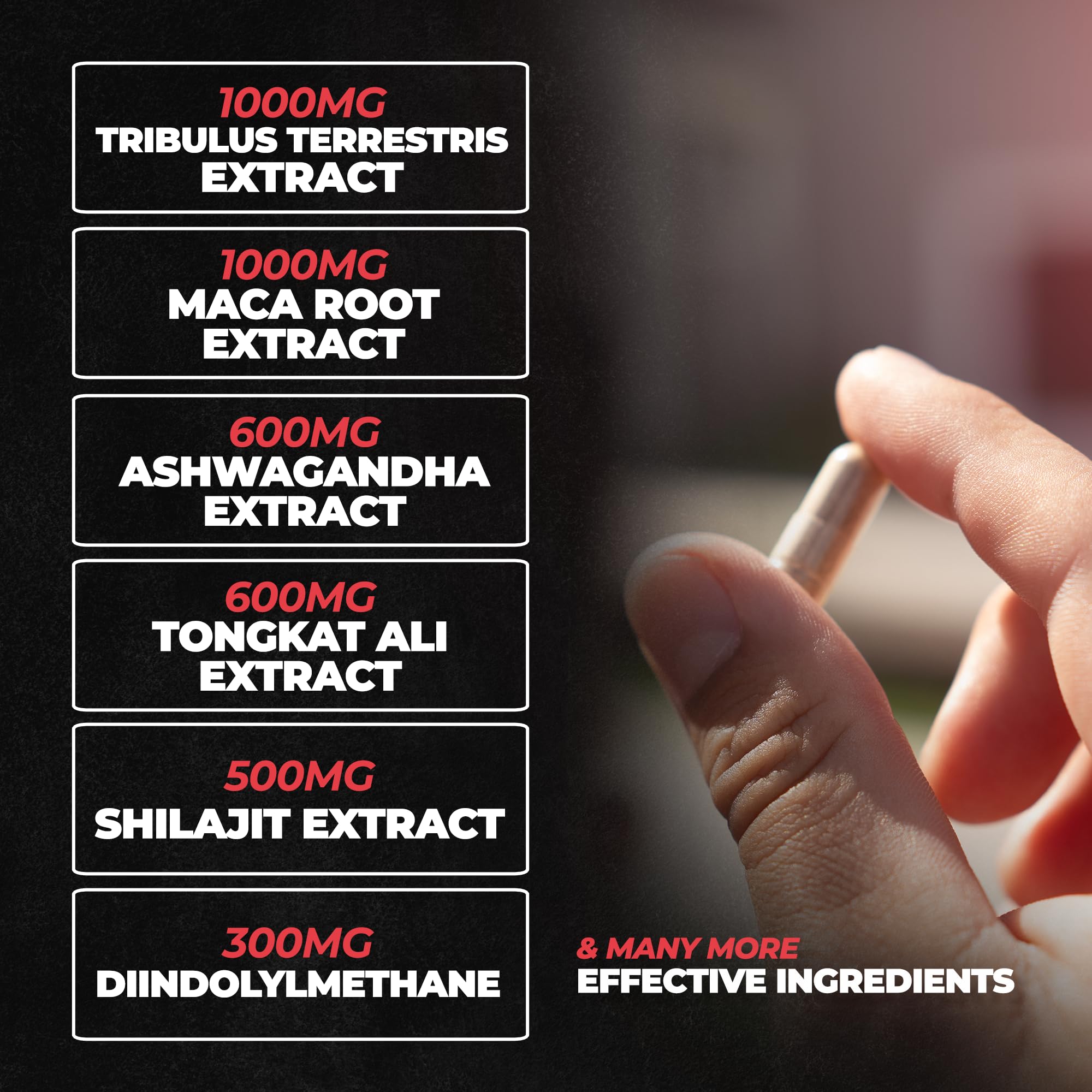 Huge Supplements Rebirth PCT ingredients panel reveals science-backed compounds aiding estrogen balance