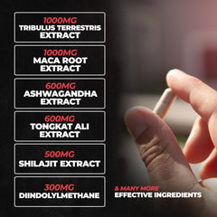 Huge Supplements Rebirth PCT ingredients panel reveals science-backed compounds aiding estrogen balance