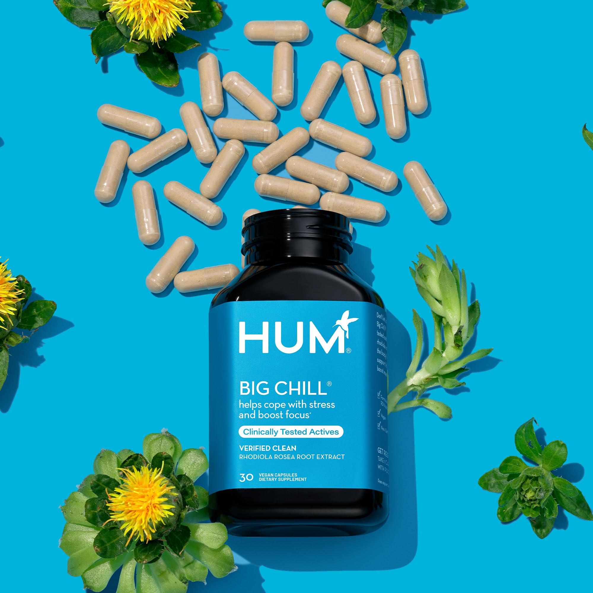 Gluten-free, non-GMO HUM Big Chill packaging