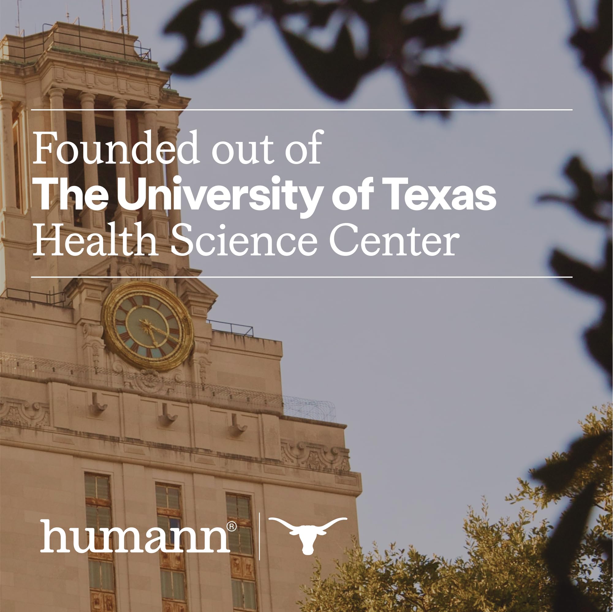 Concept image of healthy heart and blood flow