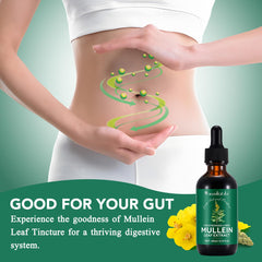 Close-up of mullein leaf extract droplets